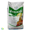 Antracol 70 WP - 1000 Gram
