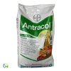 Antracol 70 WP - 1000 Gram