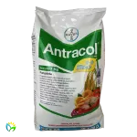 Antracol 70 WP - 1000 Gram