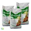 Antracol 70 WP - 1000 Gram
