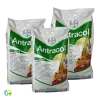 Antracol 70 WP - 1000 Gram