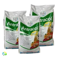 Antracol 70 WP - 1000 Gram