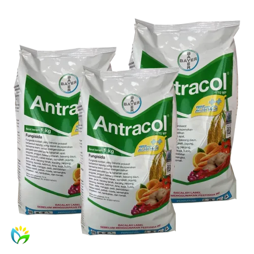 Antracol 70 WP - 1000 Gram 