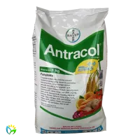 Antracol 70 WP - 1000 Gram