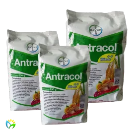 Antracol 70 WP - 250 Gram 