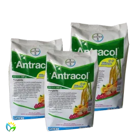 Antracol 70 WP - 500 Gram 