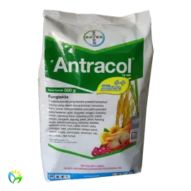 Antracol 70 WP - 500 Gram