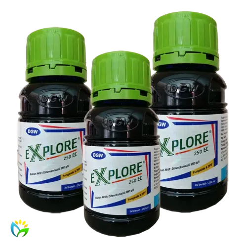 Explore 250 EC - 250 ML 
