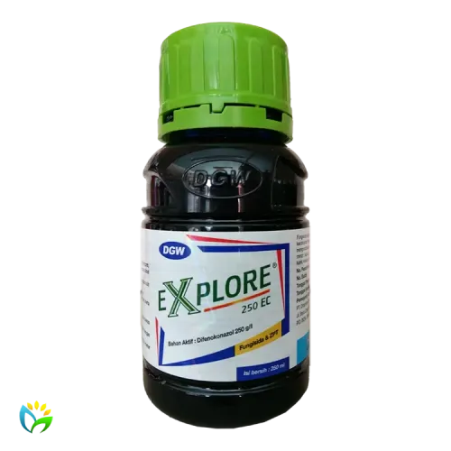 Explore 250 EC - 250 ML