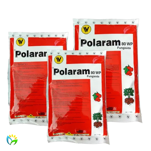 Polaram 80 WP - 1000 Gram 