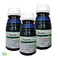 Score 250 EC - 250 ML