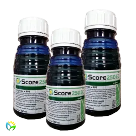 Score 250 EC - 250 ML 