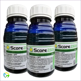 Score 250 EC - 80 ML 