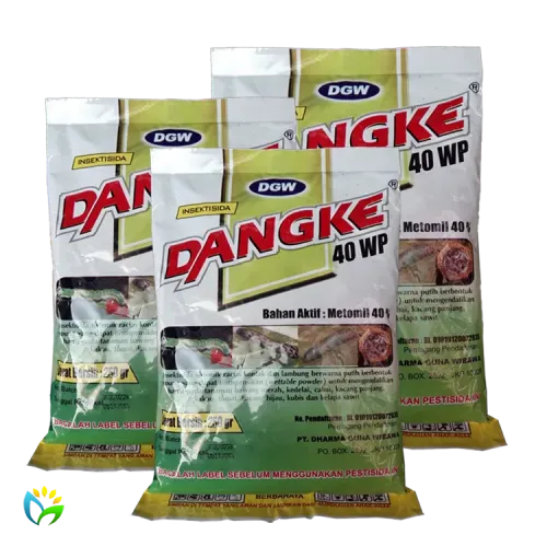 Dangke 40 WP - 250 Gram 