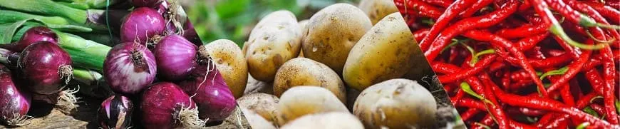 Distributor Pertanian